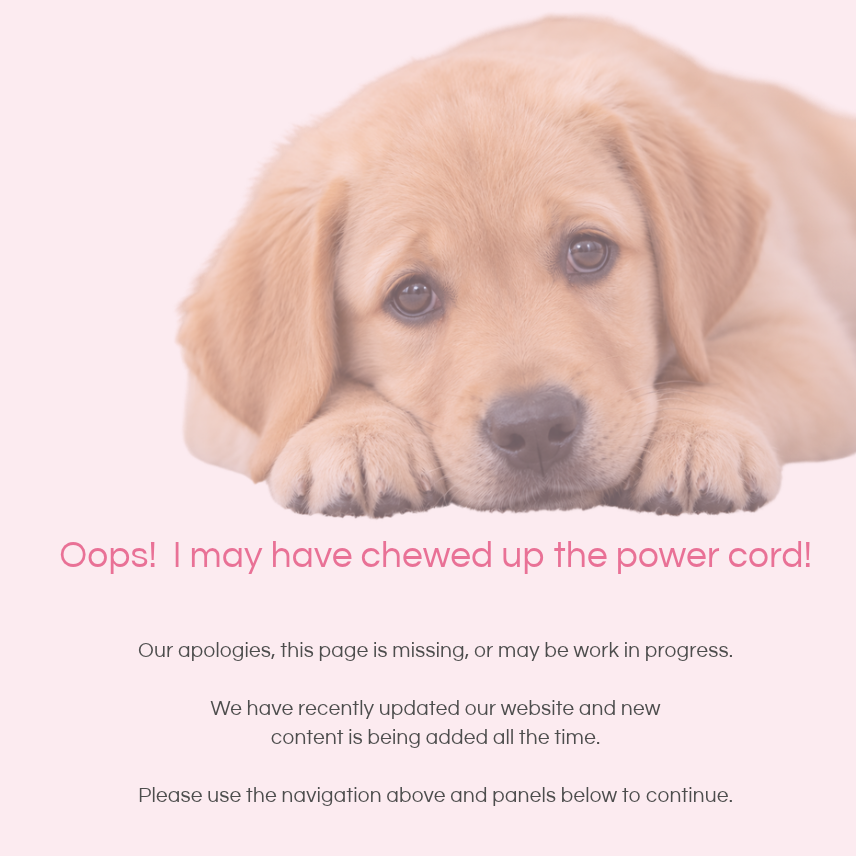 404